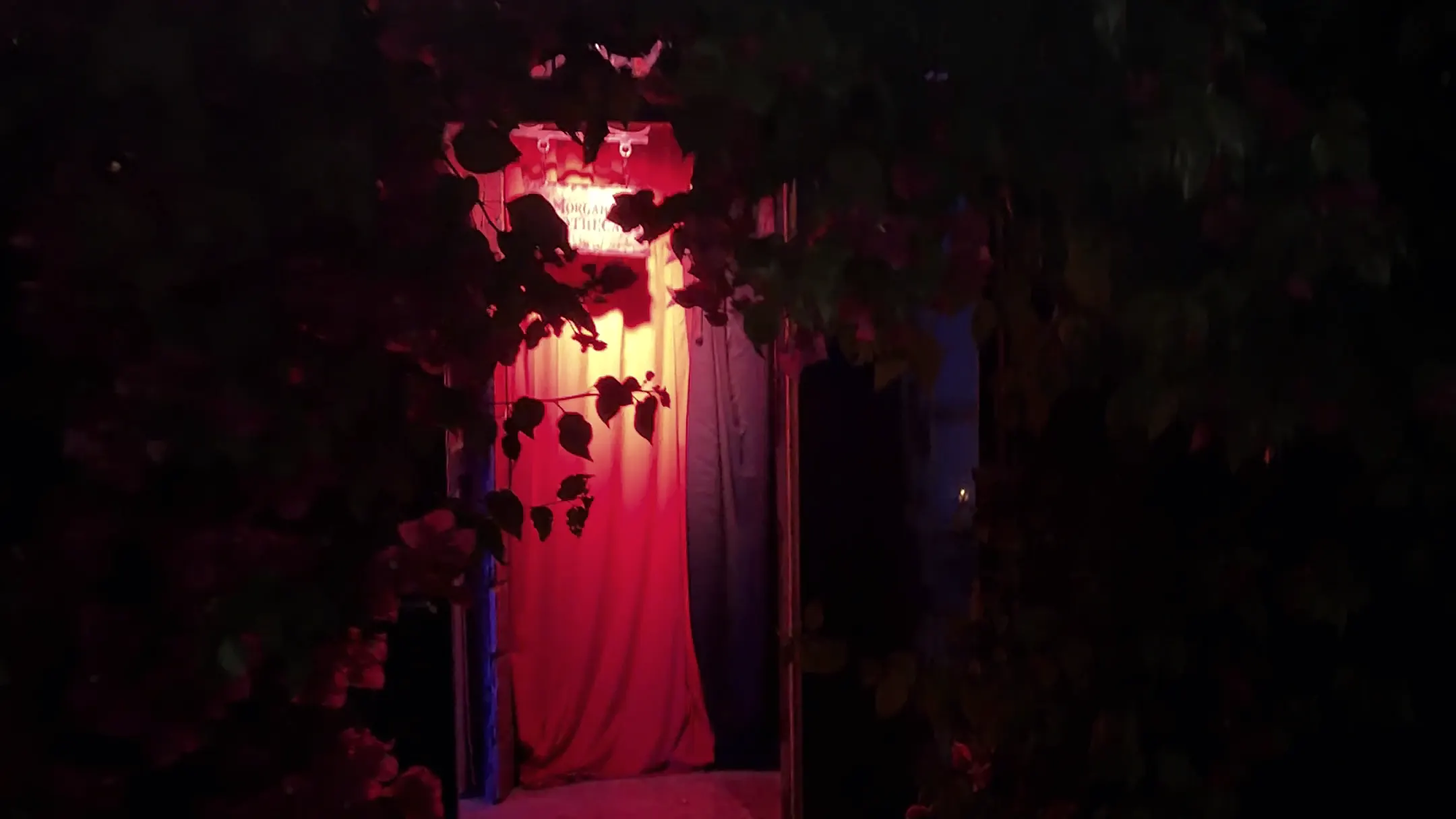 A red curtain glowing in a doorway through the bougainvillea at night