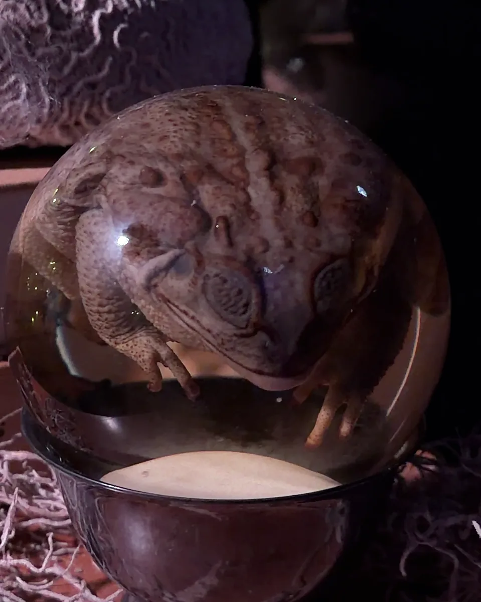 A toad sealed inside a crystal ball on a dark stand