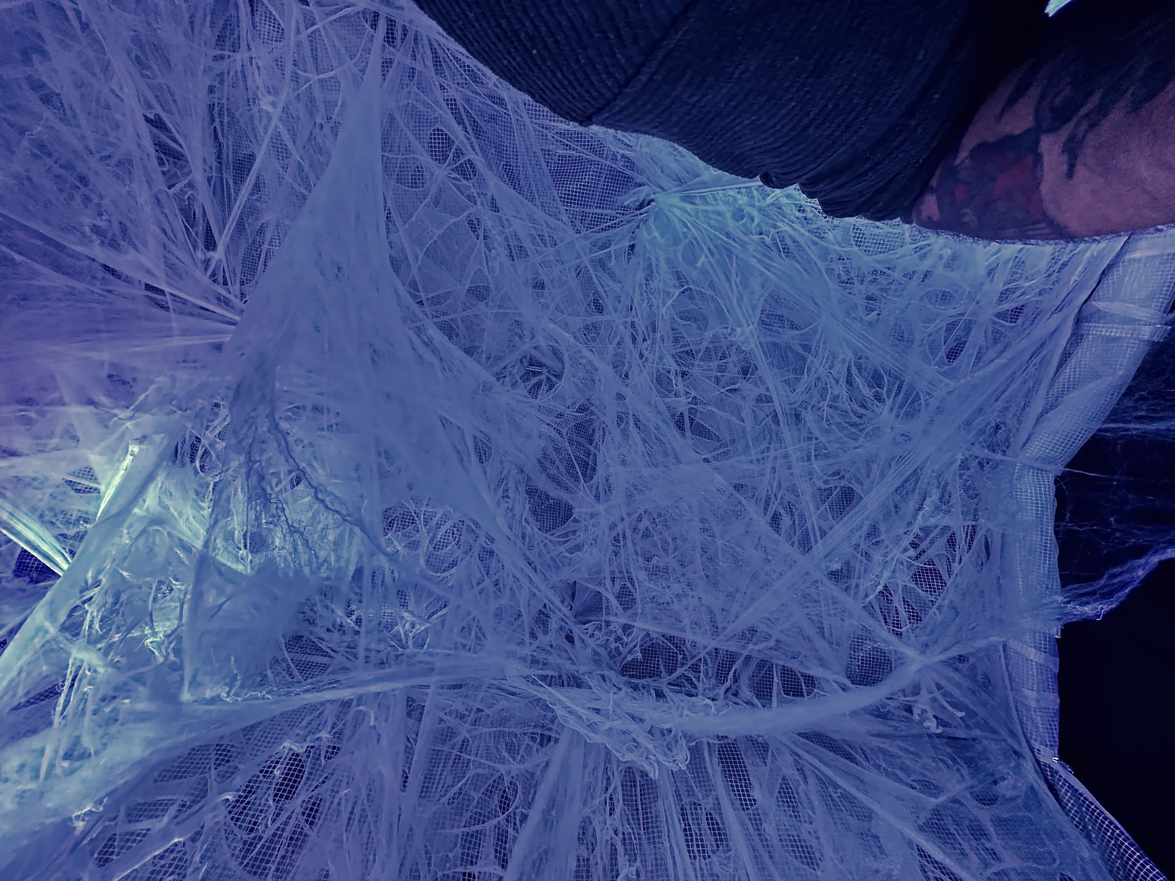Dense spider webbing lit cold blue